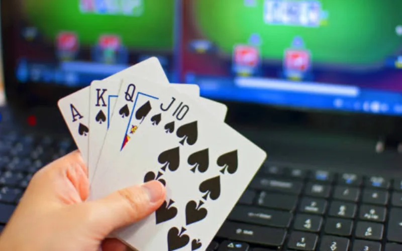 jungle poker at poker now body image